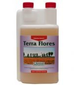 canna-terra-flores1l.jpg